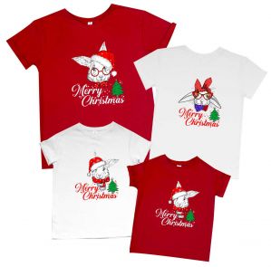 Family look набор футболок с надписью "Merry Christmas" (зайцы комбо)